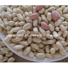 2015crop Whitehed Peanut Kernels 25/29